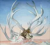 Profile picture for user wvlv