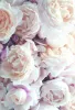 Profile picture for user Hannahii