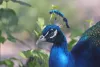 Profile picture for user Mikko79